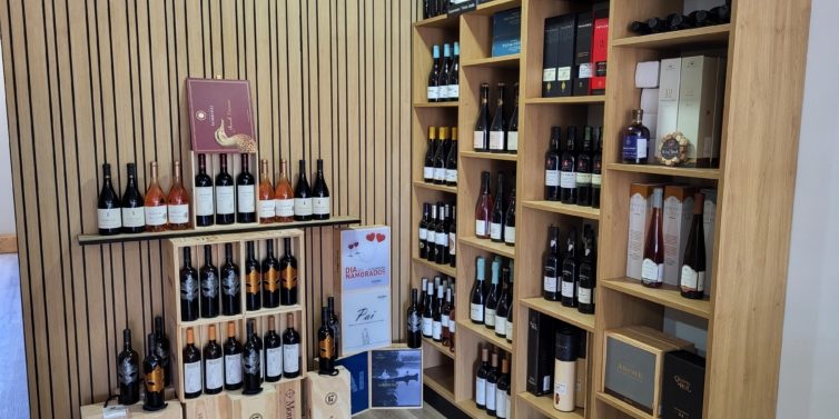 new in seixal noticia 1